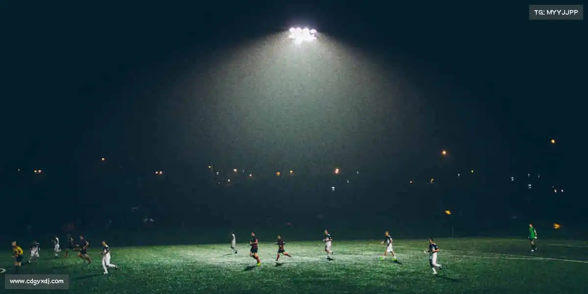 行业领先的理由